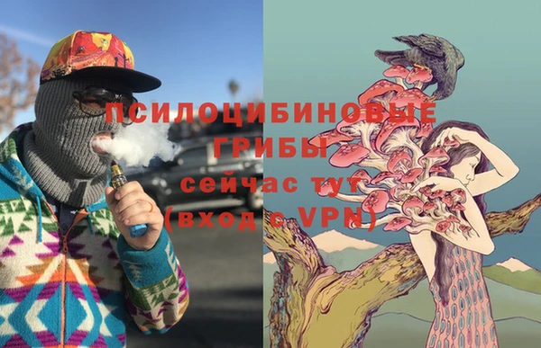 COCAINE Новодвинск