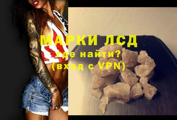 стаф Болхов