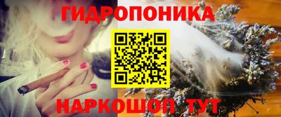 spice Гусев