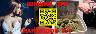 МДПВ Кингисепп
